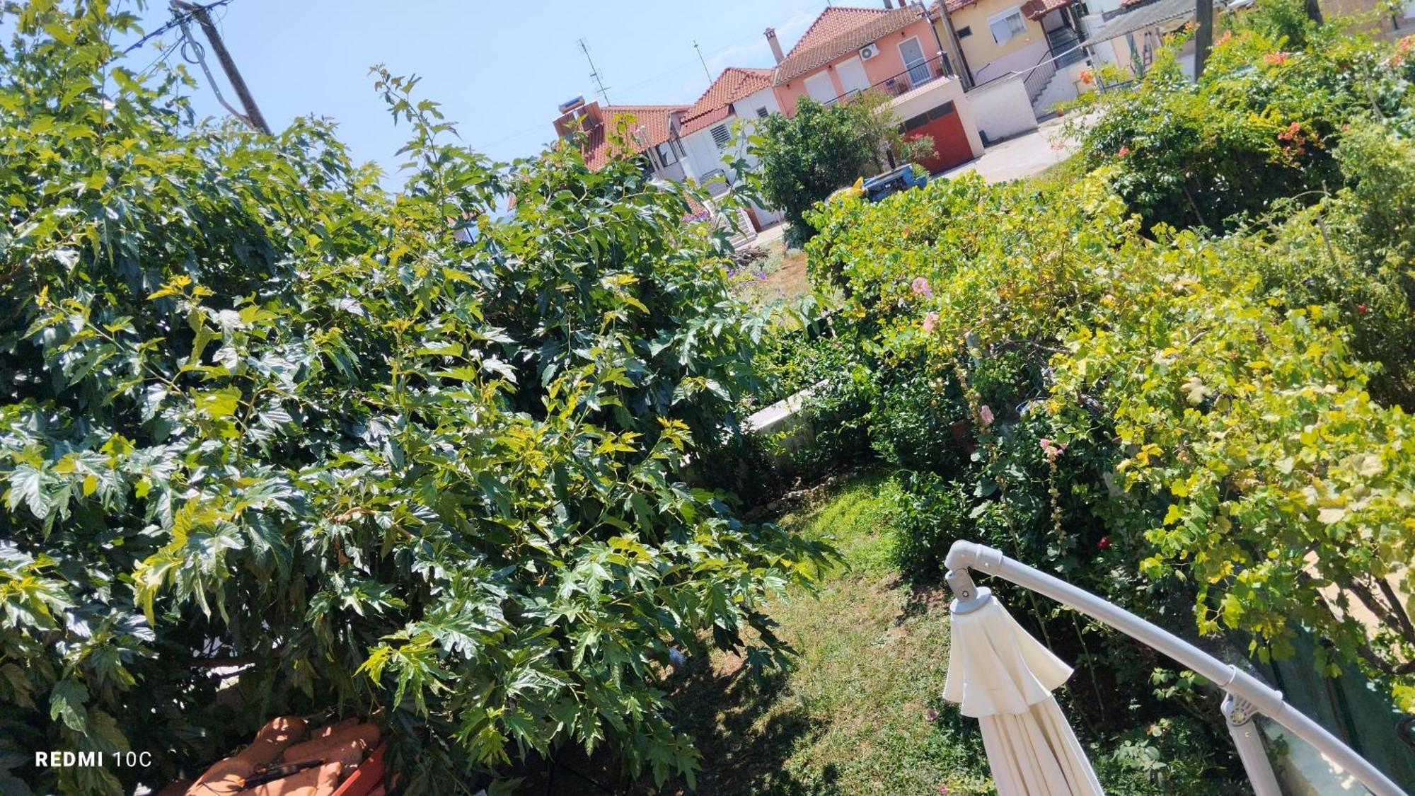 Holiday Home In Chalkidiki, Lakkoma ภายนอก รูปภาพ