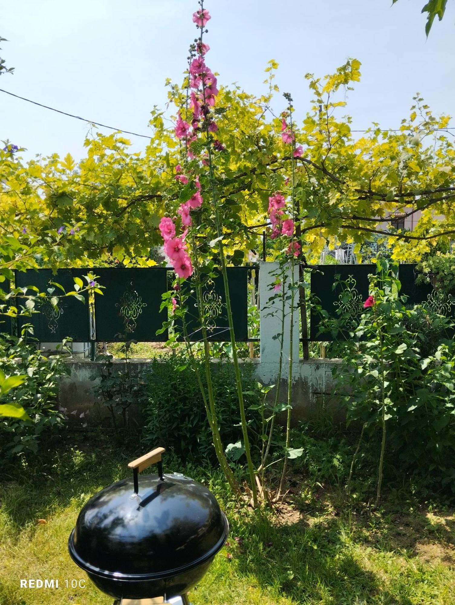 Holiday Home In Chalkidiki, Lakkoma ภายนอก รูปภาพ